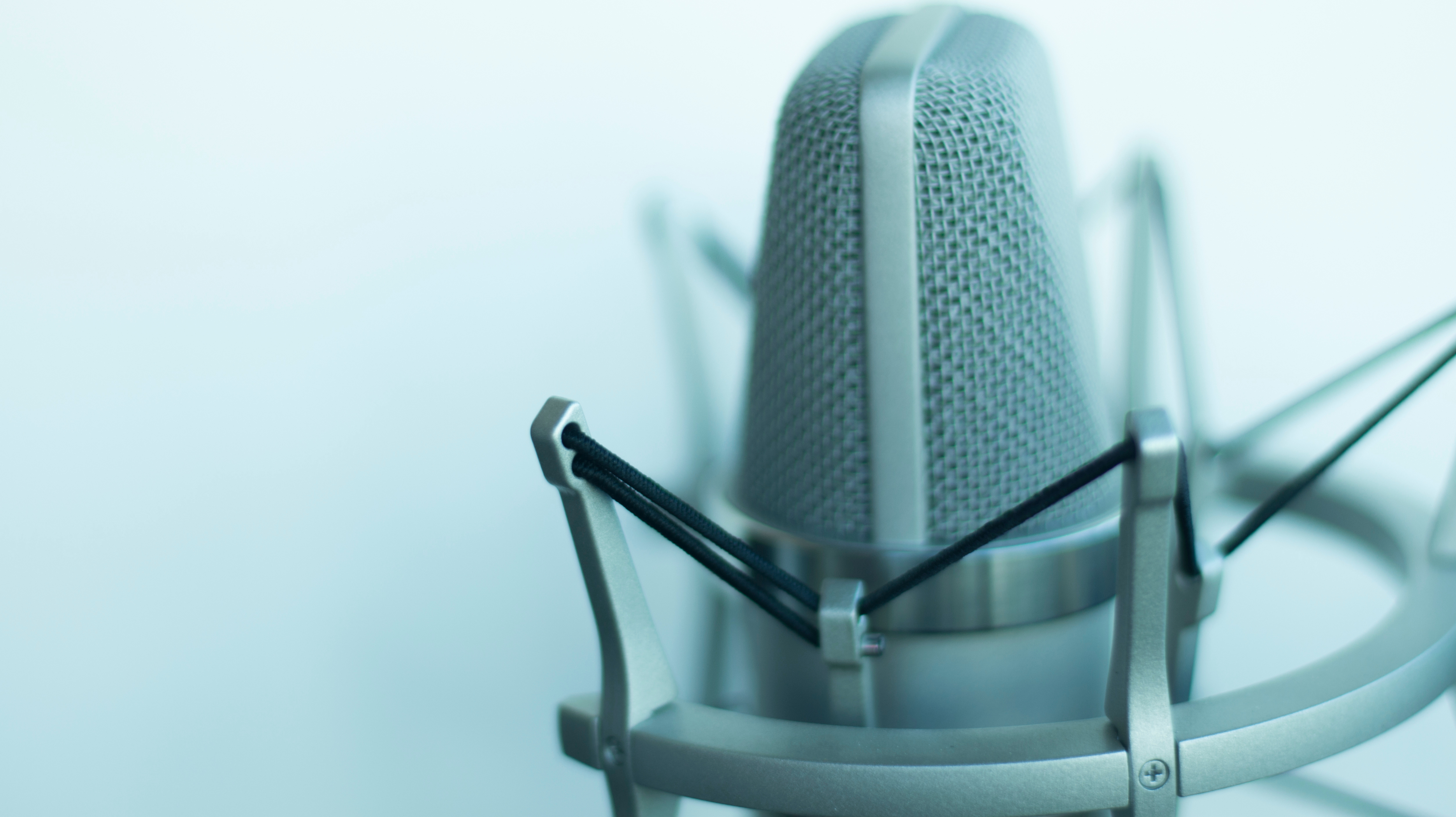 Professional studio microphone